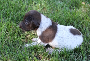 Maggie X Jett 2021 3